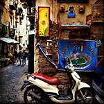 Noviello's